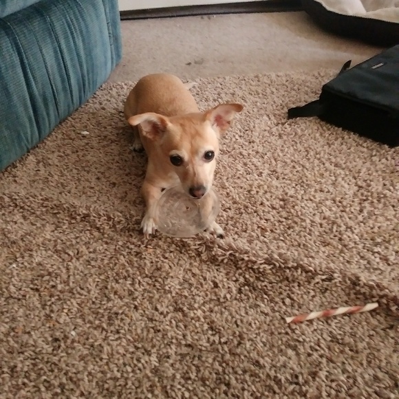 NOT FOR SALE - Picture 3 of 3